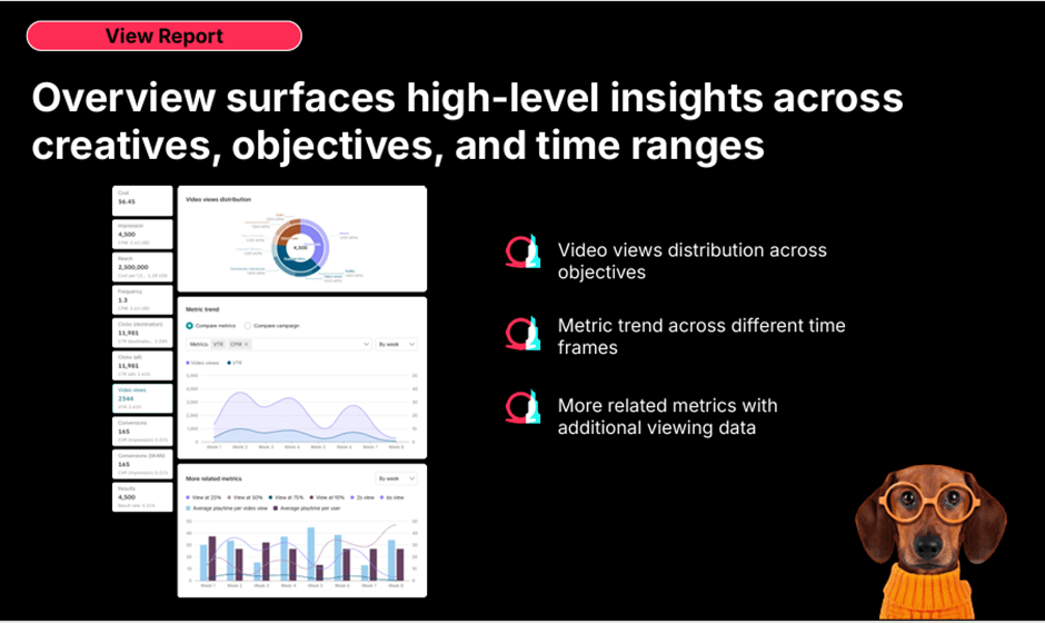 view report overview